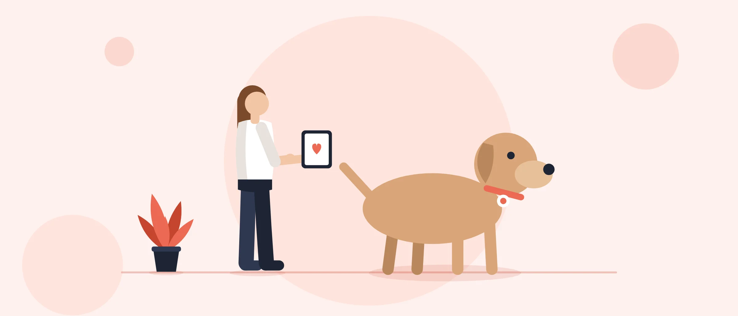 How Do Tracking and Management of IT Assets Help Veterinary Clinics?